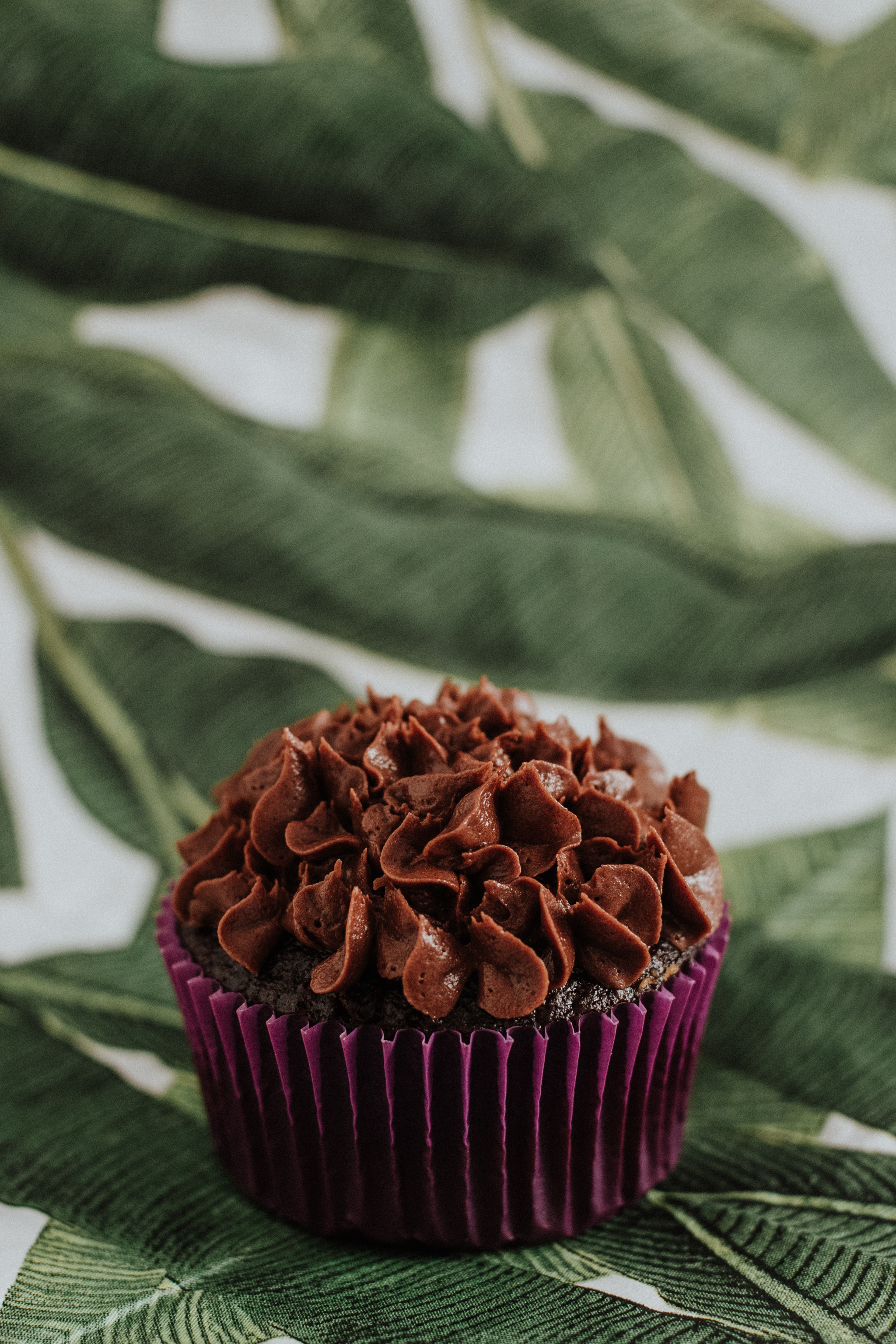 homemade chocolate cupcake in a plume color wrapper on a leaf background.