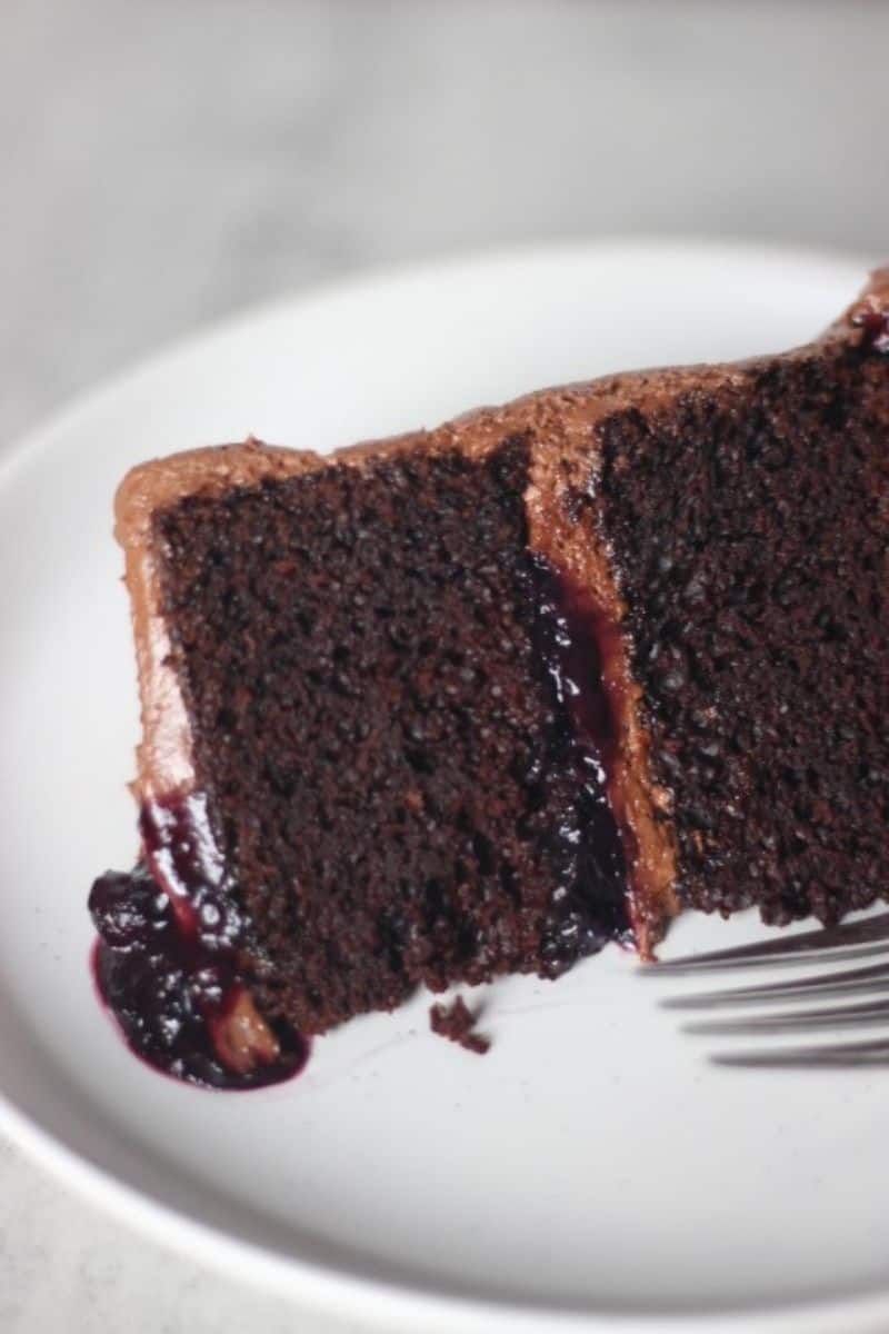 slice of chocolate blueberry cake 