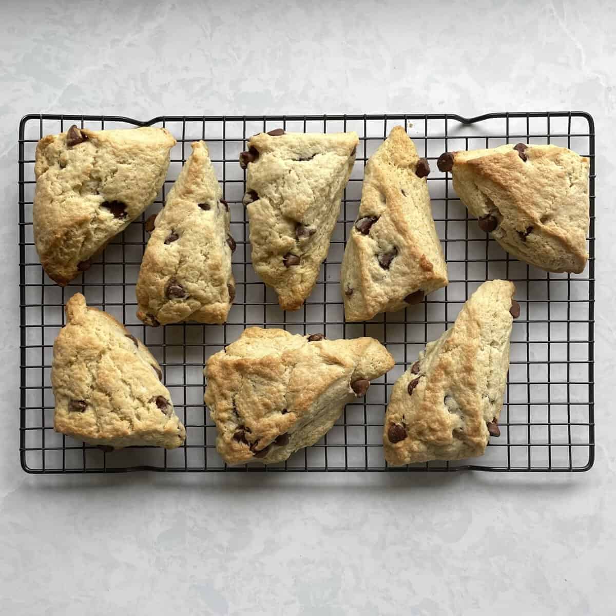 foolproof chocolate chip scones on a cooling rack