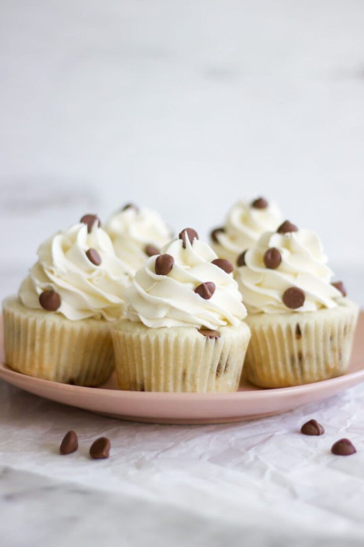 a plate of chocolate chip cupcakes