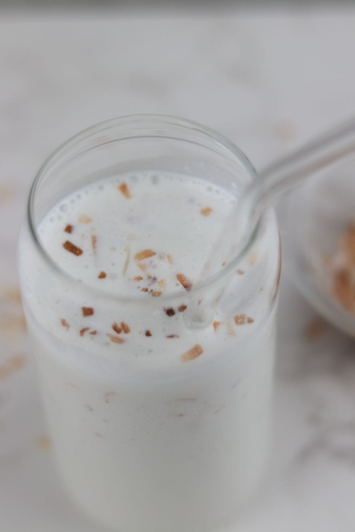 image of toasted coconut on top of the coconut shake