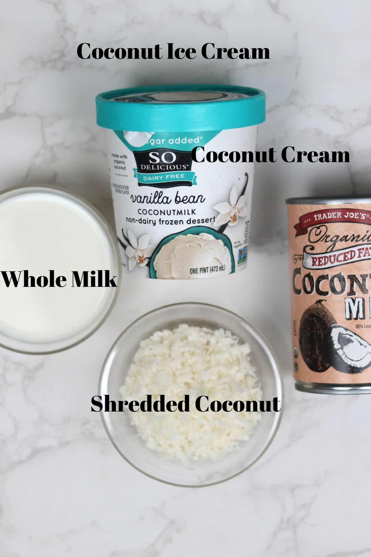ingredients needed to make a coconut shake