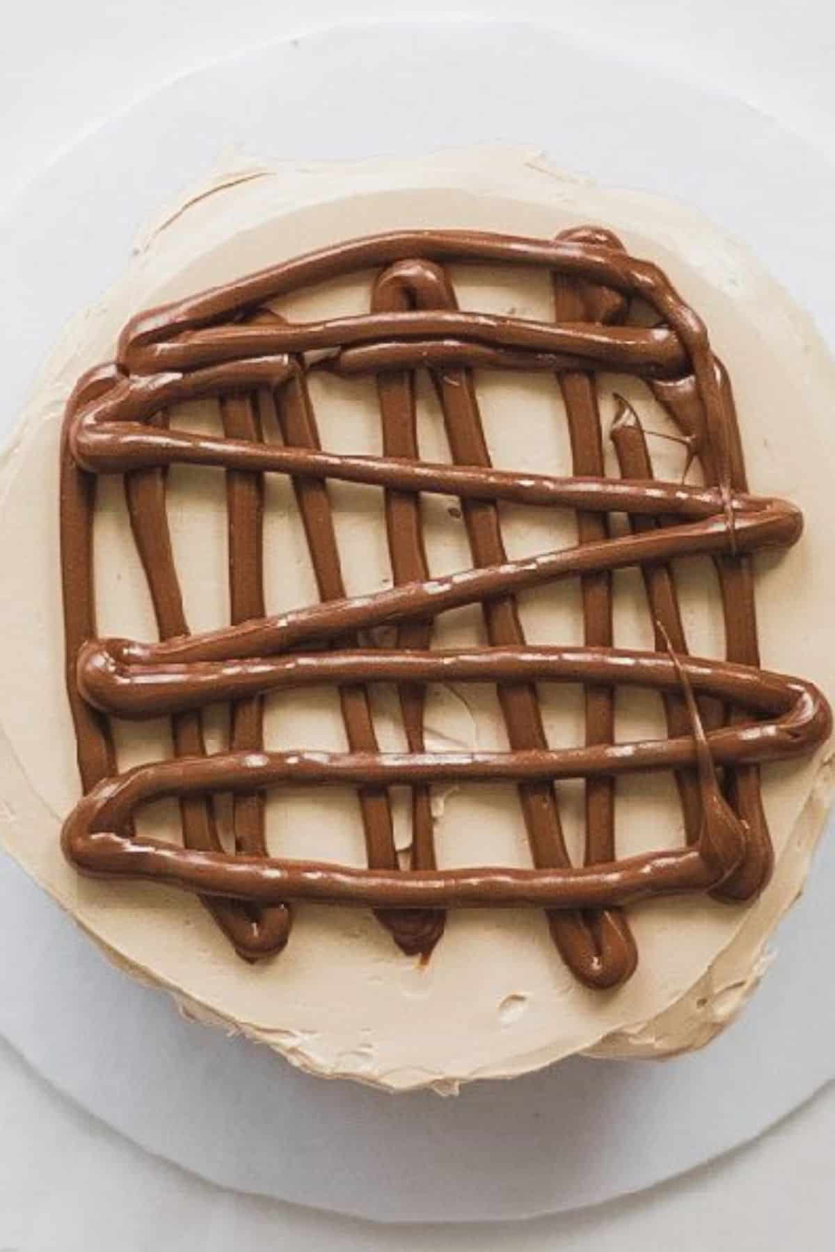 chocolate cake with nutella frosting and nutella spread on the cake
